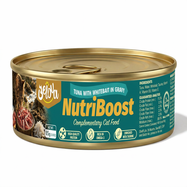 Tuna with Whitebait in Gravy