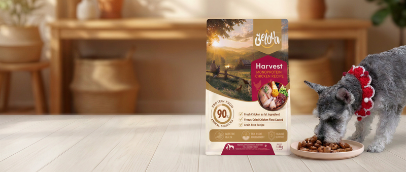 Nutrition Tailored for Your Best Friend